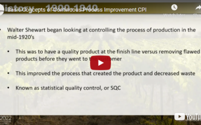 Basic Concepts of Continuous Process Improvement (CPI)