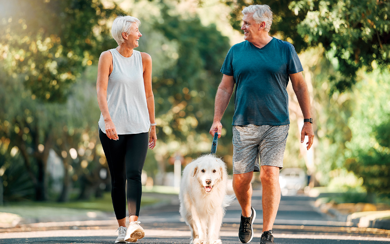 Harness the Power of Walking