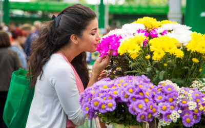 Buying Flowers May Boost Well-Being, Reduce Stress