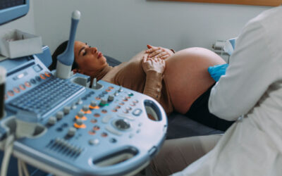 Market Report: Reports Signal Ultrasound Market Growth
